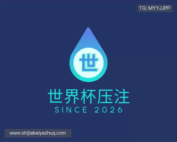 了解世界杯压注